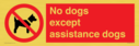 no-dogs-except-assistance-dogs~